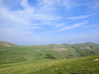 Rolling Green Hills Mountain Landscape Panoramic View Blue Sky White Clouds Peaceful Grassland Countryside Terrain