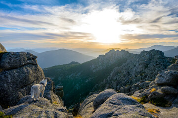 Sierra de Guadarrama al atardecer, Siete Picos