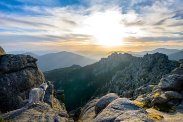 Sierra de Guadarrama al atardecer, Siete Picos