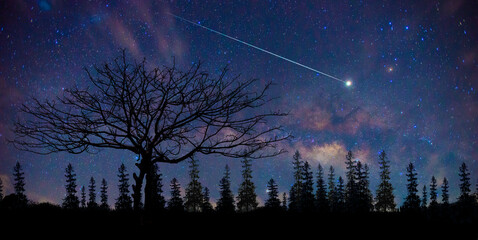 blue night sky milky way and star on dark background.Universe filled with stars, nebula and galaxy with noise and grain.with blur