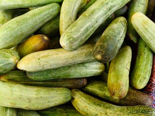 Close up shot of pile of fresh Cucumber open sell in Indian market.