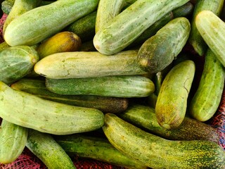 Close up shot of pile of fresh Cucumber open sell in Indian market.