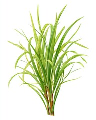 Naklejka premium Lush green grass tuft, vibrant leaves