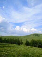 Rolling Green Hills and Lush Countryside Vista Under Blue Sky with White Clouds