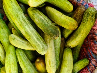 Close up shot of pile of fresh Cucumber open sell in Indian market.
