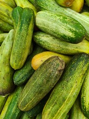 Close up shot of pile of fresh Cucumber open sell in Indian market.