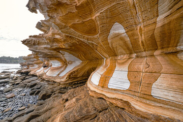 Painted Cliffs: Layered Sandstone Rock Structures at Maria Island.The sandstone formations display...