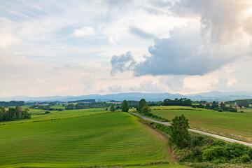 Winding Through Green: Scenic Countryside Road with Fields, Trees, and Distant Hills