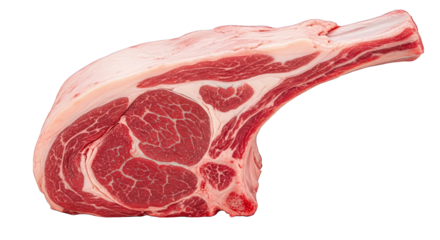 Raw Beef Rib Roast Closeup View