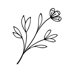 Elegant Minimalist Floral Line Art Illustration