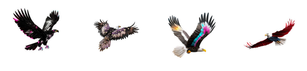 Obraz premium Collection of four eagles with colorful stylized wings on transparent background, cut out