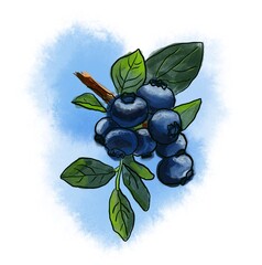 black berries with green leaves