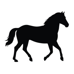 Obraz premium Black horse silhouette running graphic design vector illustration equine animal mammal art image