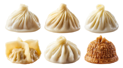Set of soup dumplings Tangbao, Jiaozi, Gyoza, Pierogi, and Mandu on transparent background