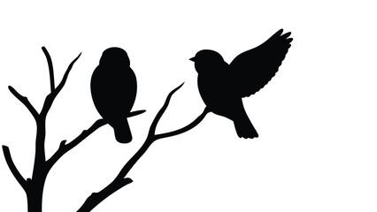Silhouette birds on branch vector illustration bird watching nature wildlife design graphic art