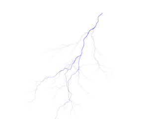 A blue branching structure with a main trunk and smaller branches against a black background is displayed