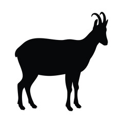 Chamois mountain goat silhouette vector illustration for wildlife and nature designs and projects