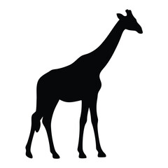 Giraffe silhouette vector illustration african wildlife animal safari zoo mammal long necked art print