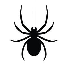 Black spider hanging vector illustration for halloween decoration and spooky web arachnid design