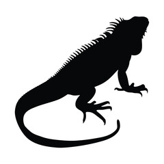Iguana reptile exotic pet lizard silhouette vector graphic illustration black and white design art