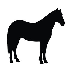 Horse silhouette vector image for equestrian design projects and animal illustration resources online