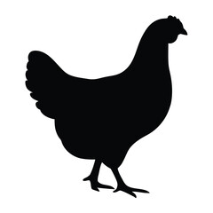 Chicken silhouette vector illustration poultry farm animal hen fowl bird livestock design graphic art