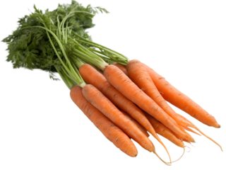 bunch of Carrots Isolated on Transparent Background
