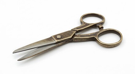 Antique Brass Scissors