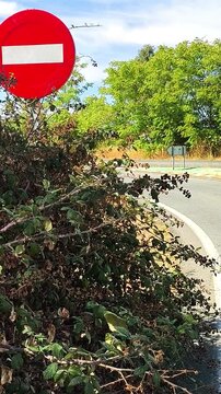 Abandono en las carreteras y su infraestructura