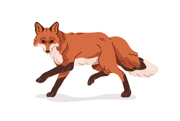 Cute fox walks. Adorable orange foxy with fluffy tail strolls. Wild animal of European forest. Woodland wildlife. Fauna of Europe or Taiga. Flat isolated vector illustration on white background