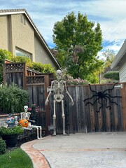 Outdoor Halloween decorations with giant skeleton, seated skeleton, pumpkin, and large spider on a...