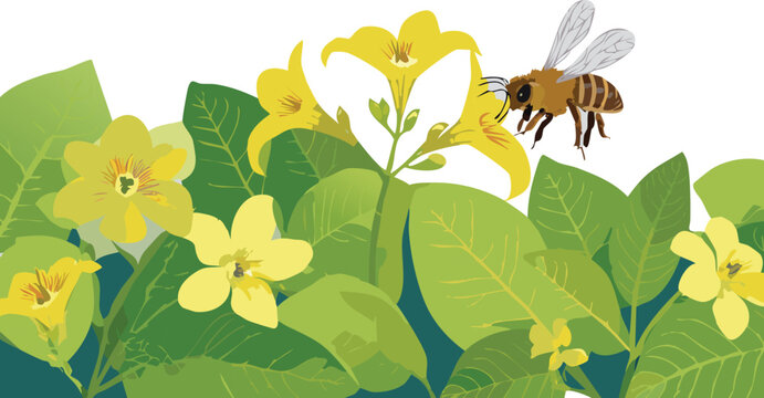 Bee and flower moment that fosters appreciation for natural processes and balance
A macro shot of pollination for educational use in biology and environmental studies