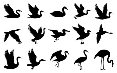 Vector art of collection of various bird silhouettes