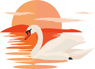 Fototapeta premium White Swan Swimming in Lake at Sunset Vector