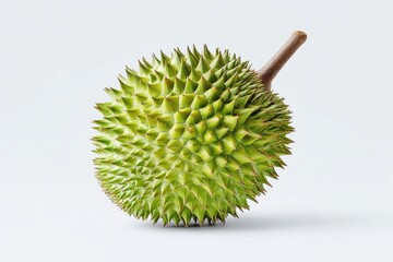 Green durian fruit on a plain background