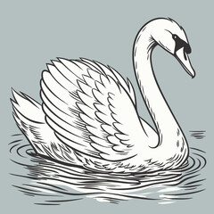 Elegant hand-drawn illustration of a white swan gracefully swimming on water. Vintage style vector artwork with detailed feathers and calm ripples, isolated on a muted blue background. illustration