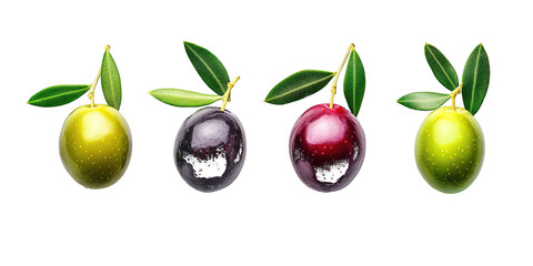 Four Olives with Leaves Showing Different Stages of Ripeness fruit isolated on a transparent background