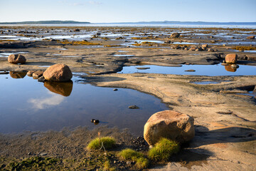 Rugged coastal landscape by White Sea, beach with rocks and reflective tide pools during low tide in Karelia, nature of Russia