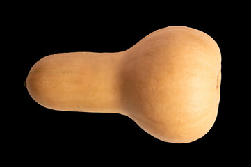 Ripe sweet pumpkins isolated on black background, close-up.