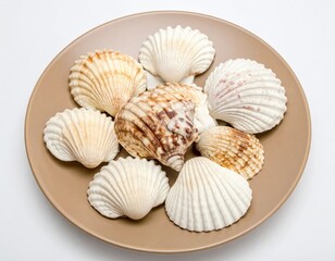 Variety of seashells displayed on brown plate: marine treasures unveiled