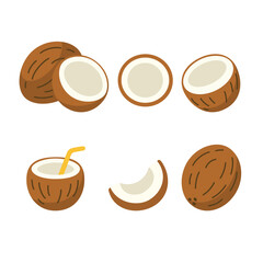 Flat style illustration of coconuts including whole coconut, halved coconut, coconut slice, coconut with straw, and cross section view Minimalistic design tropical fruit concept on white background 
