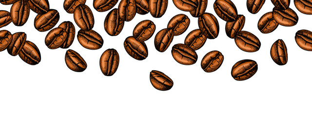 Hand drawn coffee beans pattern. Cafe menu, bakery branding, packaging design. Vintage isolated sketch vector illustration.