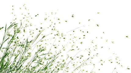 Naklejka premium Delicate white wildflowers gently sway, petals drifting in a soft, airy breeze, evoking nature's serene beauty, Isolated on white background