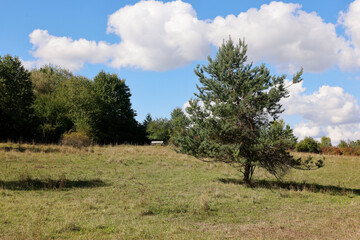 The Waldheide in Heilbronn, Baden-W&uuml;rttemberg, Germany, Europe