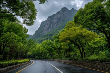 Winding road through lush green mountainside