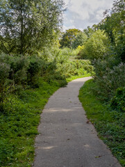 A narrow, paved path winding its way through a dense tunnel of lush green foliage.