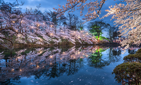 Takada castle during cherry blossom season in Joetsu, Niigata Prefecture, Japan
