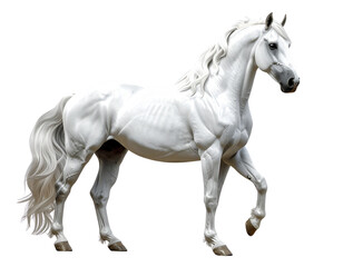 Fototapeta premium Energetic White Stallion in Motion, 3D Model with Flying Mane.
