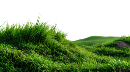 Lush Green Hillside: The vibrant scene, showcasing a grassy hill rising gently toward the horizon, invites a sense of peace and connection with the natural world.