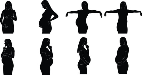 Pregnant Woman Silhouettes in Eight Varied Poses with Belly Emphasis on White Background for Maternity and Design Content